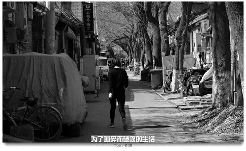 【十六图】 为了琐碎而破败的生活