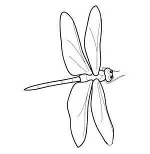 蜻蜓简笔画手绘竹蜻蜓简笔画图片