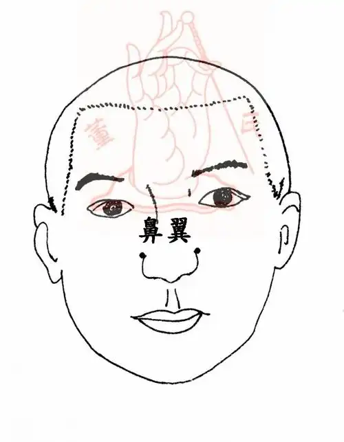 鼻翼穴穴位位置图_999穴位网