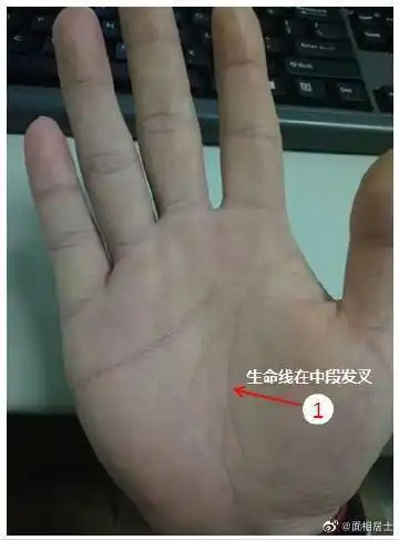 生命线上有分叉代表了什么含义?