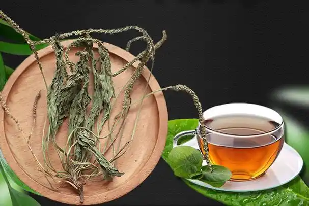 车前草怎么泡水喝 车前草泡水喝是干的好还是新鲜的好→maigoo知识