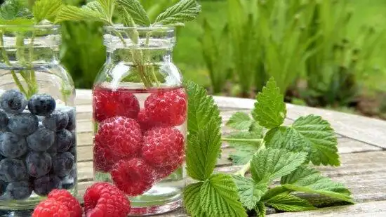 叶子, 果子, 食物, 薄荷, 浆果, 甜, 灌木