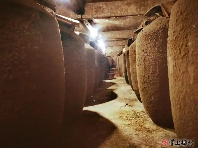 这里有深山佳酿!他,返乡当起酿酒师,致富路上酒香四溢