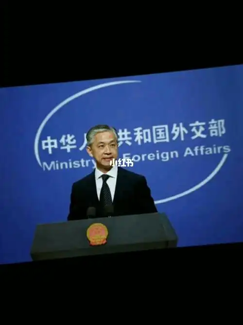 帅气的外交天团