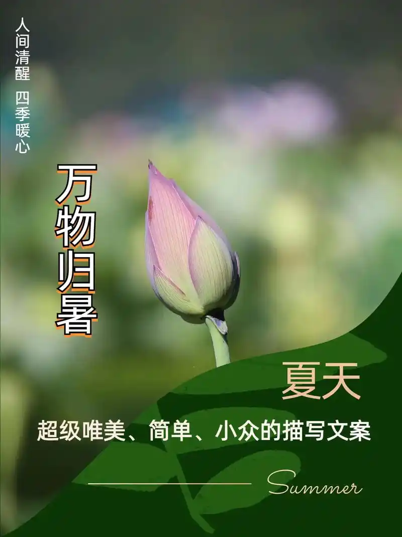 超级简单,小众,唯美的描写夏天的句子.01. 听蝉清响,蛙声 - 抖音