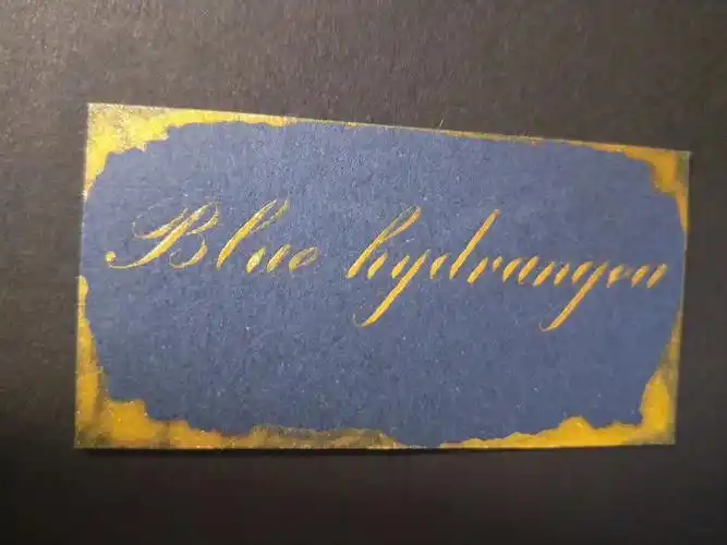 英文书法 #es #es #copperplate #花体英文 练习