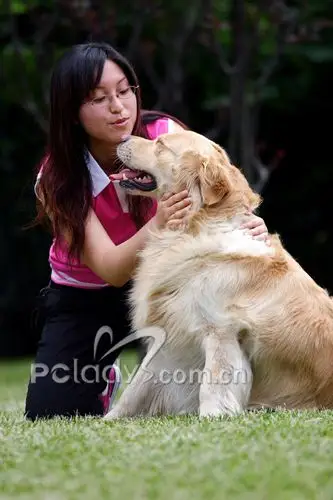 爱我宠:俏皮精灵女孩和她的憨大狗职场女人,心情策略-太平洋时尚女性