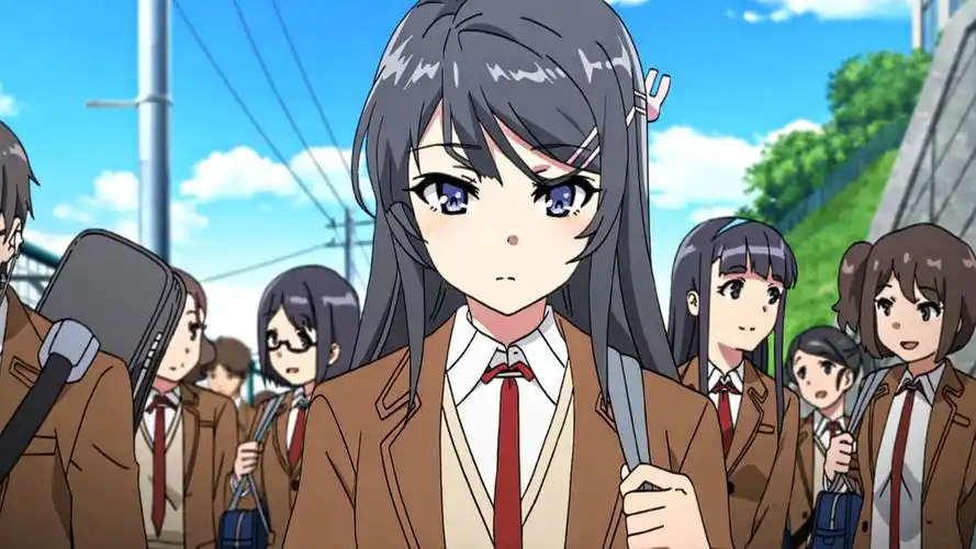 "人活着就是为了樱岛麻衣!