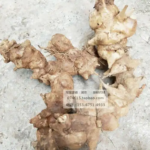 野生新鲜菝葜金刚刺金刚藤菝葜头铁菱角药材菝葜根鲜货500克包邮