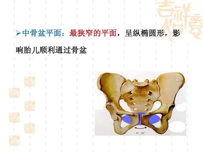 高等教育 医学 女性生殖系统解剖与生理ppt 课件  中骨盆平面:最狭窄