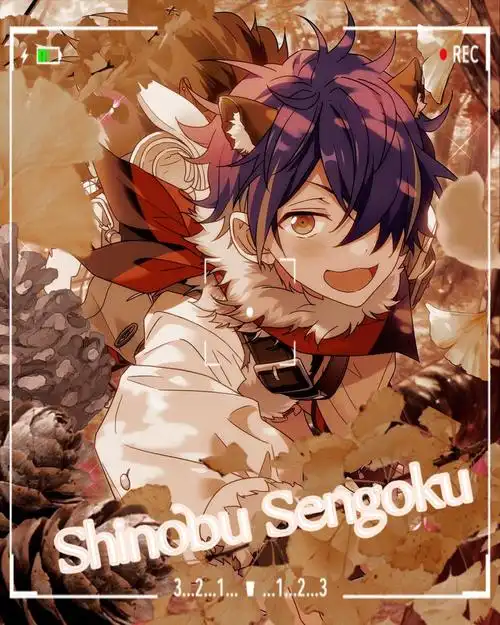 常常会因为自推太冷了而自给自足