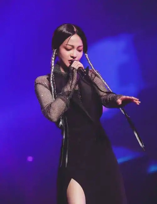 张韶涵临夏演唱会_音乐_城市_观众