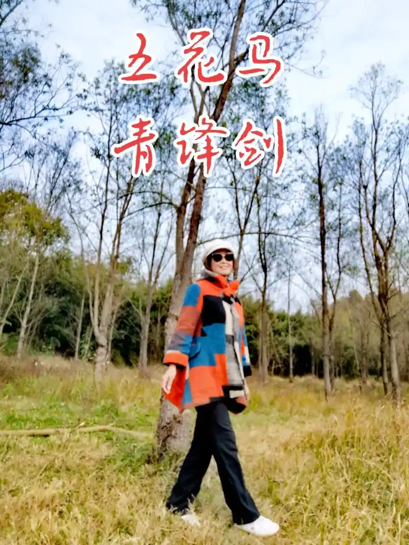 热门 #抖音 #音乐 #上热门 五花马,青锋剑,江山无限, - 抖音