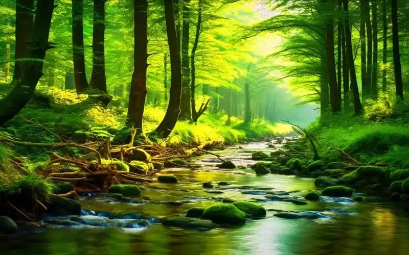 缓解压力-舒缓的音乐放松,助眠和减少焦虑!