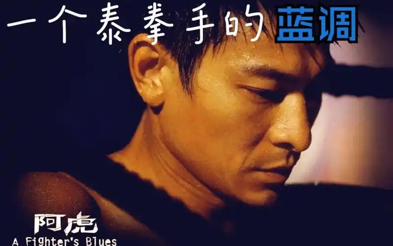 《阿虎》简体字幕(主演刘德华/常盘贵子) pt.