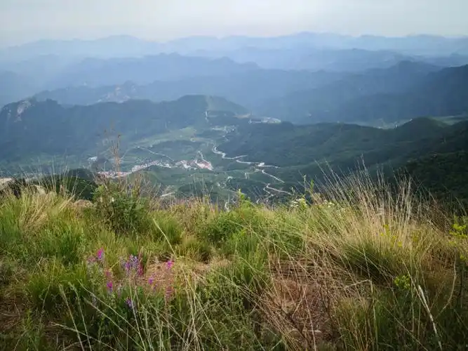 百花山