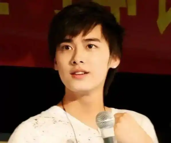李易峰,中国内地男艺人,2007年以《加油好男儿》出道,因其高大帅气的