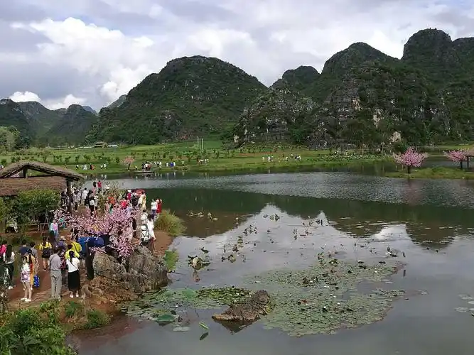 三生三世十里桃花