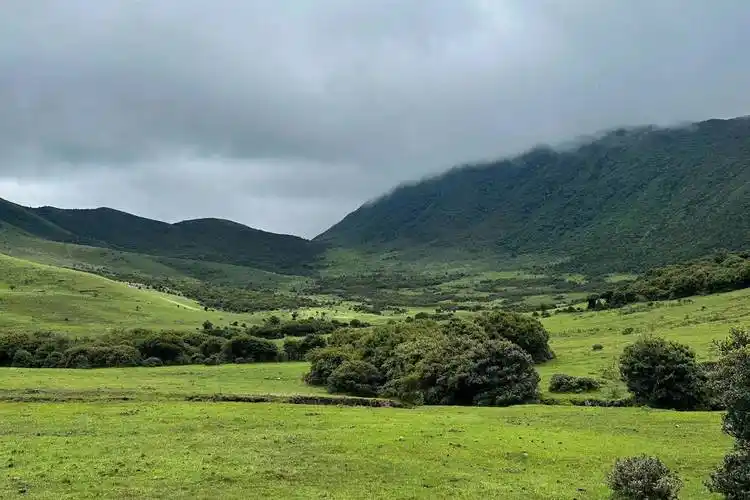 云南大理:高山草甸景点旅游大全