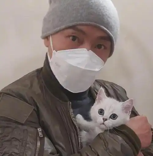 张卫健彩排被700斤钢琴砸中,工作人员将其一把捞起,本人报平安