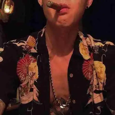 叼雪茄的社会哥