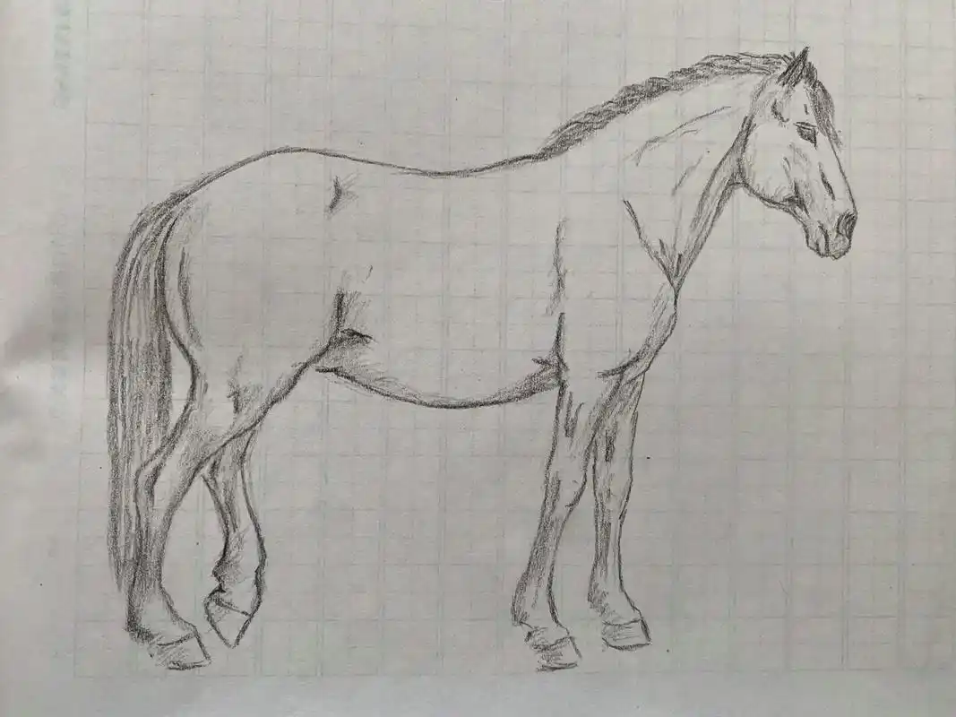 单线临摹郎世宁百骏图.#速写 #想画就画 #百骏图 - 抖音