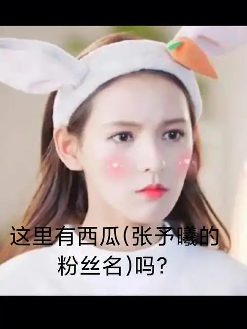 这里有西瓜张予曦的粉丝名吗