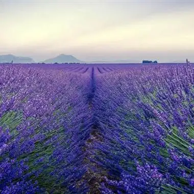 4k高清唯美意境qq风景头像图片大图