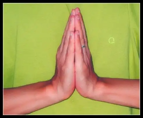 此手印可以排出体内的毒素,消除泌尿系统的疾病,帮助肝脏完好;调节