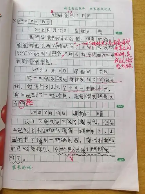 周六下午班《写连续观察日记》