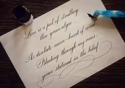 往期学生英文书法习作回顾