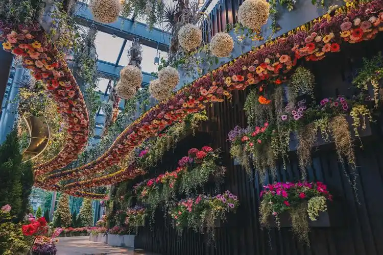 到此一游在新加坡的浪漫花园里看遍六大洲奇花异草