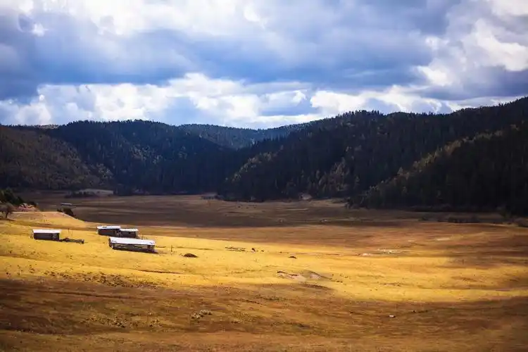 山谷间的大草甸. 普达措国家公园