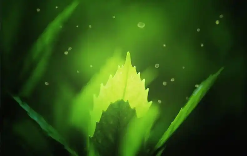 我刚更换了主题壁纸,你的背景由你做主,大家快