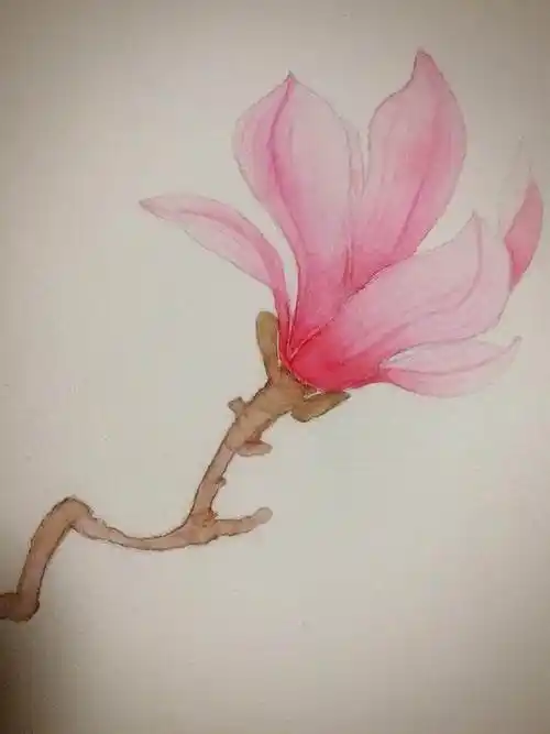 水彩画入门水彩画入门的基础画