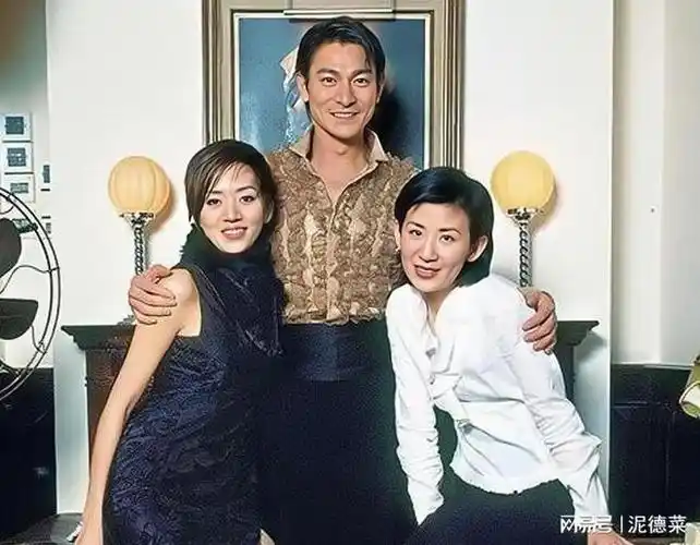 吴君如与梅艳芳疑似因刘德华而心生嫌隙,这件事情让吴君如也暗下决心