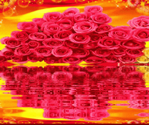 绝美动态玫瑰倒影花册太绝美了