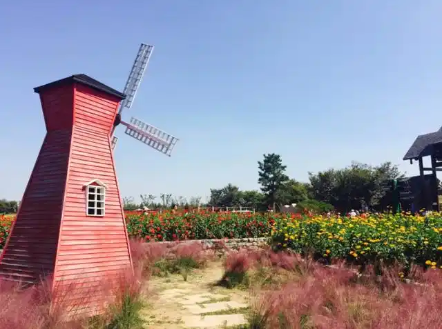 秋色尽染三台山,宿迁成为新热门,景色宜人