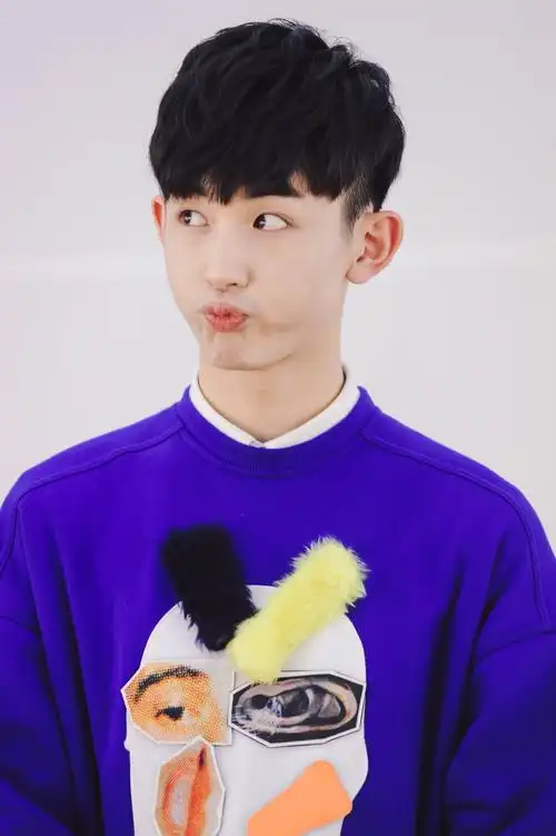 郭俊辰 太子妃升职记