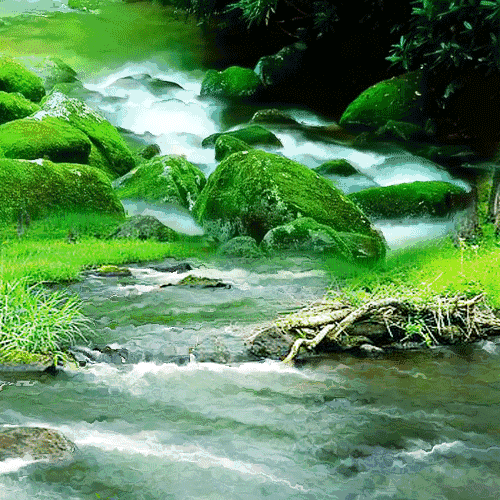 500_500gif 动态图 动图