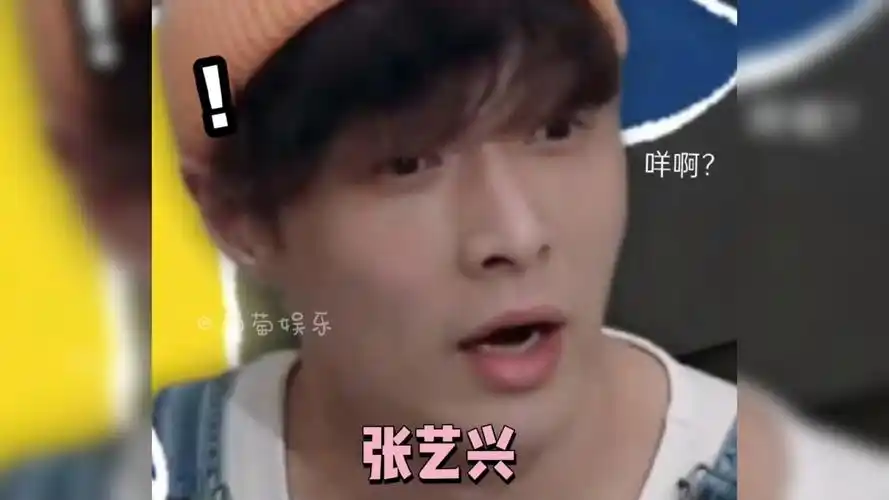 张艺兴我真的太难了