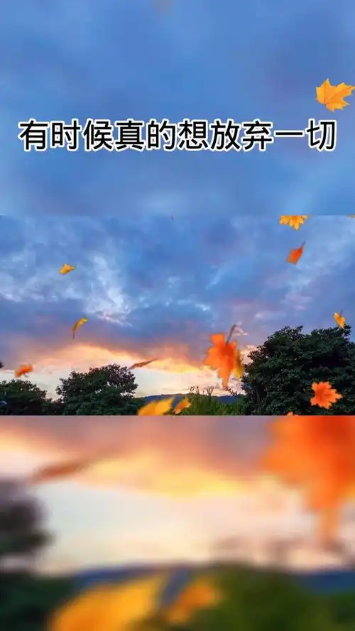 2022最扎心的情感语录文案(2022最扎心的情感语录文案图片)