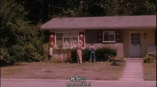 怦然心动影片如何表现朱莉的美