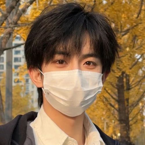 clcey假发男短发时尚潮流自然微分碎盖少年感短发男士日常蓬松头套