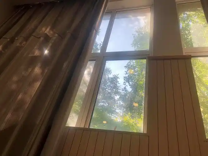 阳光透过树叶又透过窗户照进了心里