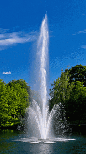 346_615竖版 竖屏gif 动态图 动图