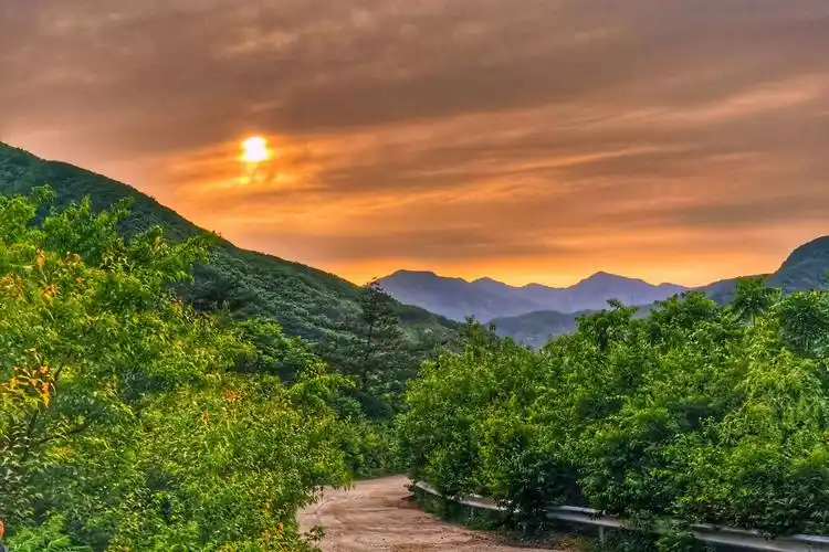 那青青的山哟那绿绿的水