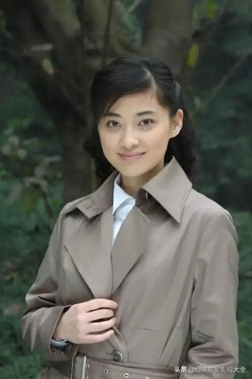 3主演:王志文,梅婷,佟大为,王海平(梅婷 饰 李萍)1《香樟树》2004年