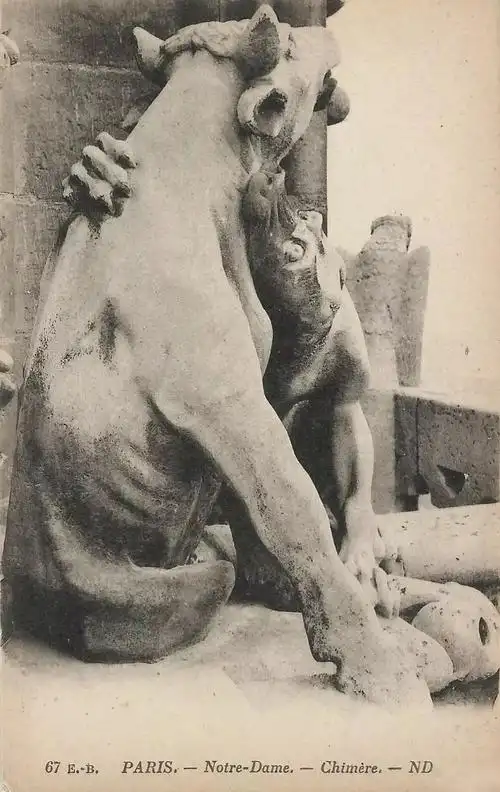 巴黎圣母院的怪兽