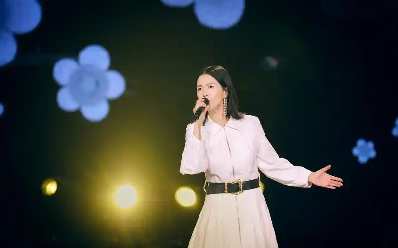 谭维维经典咏流传合集